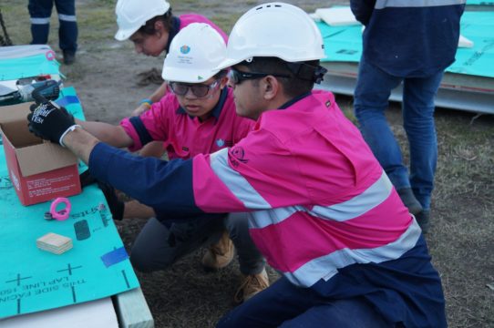 Team UOW Desert Rose Rebuild 8